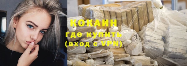 индика Аркадак