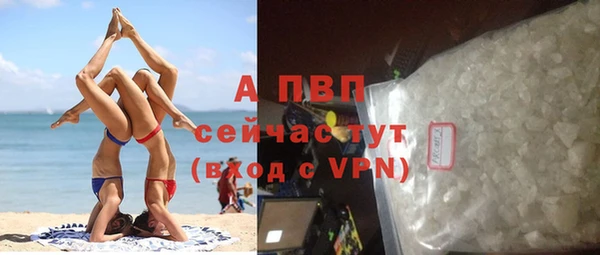 индика Аркадак