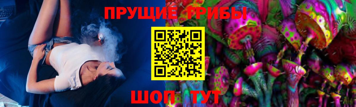 Псилоцибиновые грибы ЛСД  Вход с VPN  Заинск 