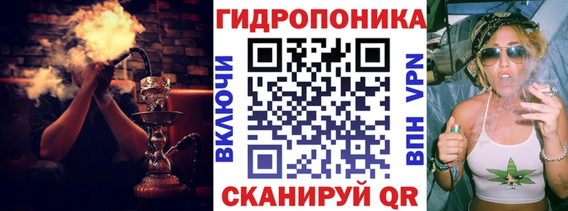 сколько стоит Заинск Конопля AK-47